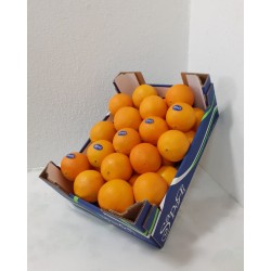 Oranges NAVEL moyennes...