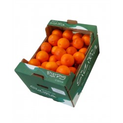 Oranges Tarocco Petites