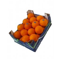 Oranges Tarocco Grandes