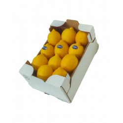 Citrons (plus disponible)